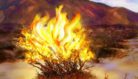 Burning-Bush-610x351
